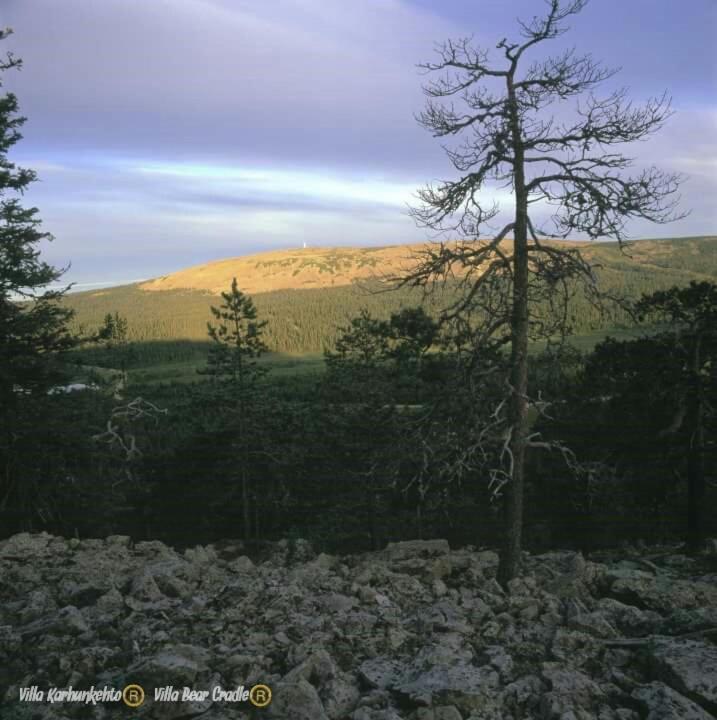 Villa Karhunkehto Luosto Buitenkant foto