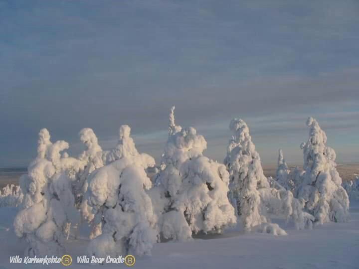 Villa Karhunkehto Luosto Buitenkant foto