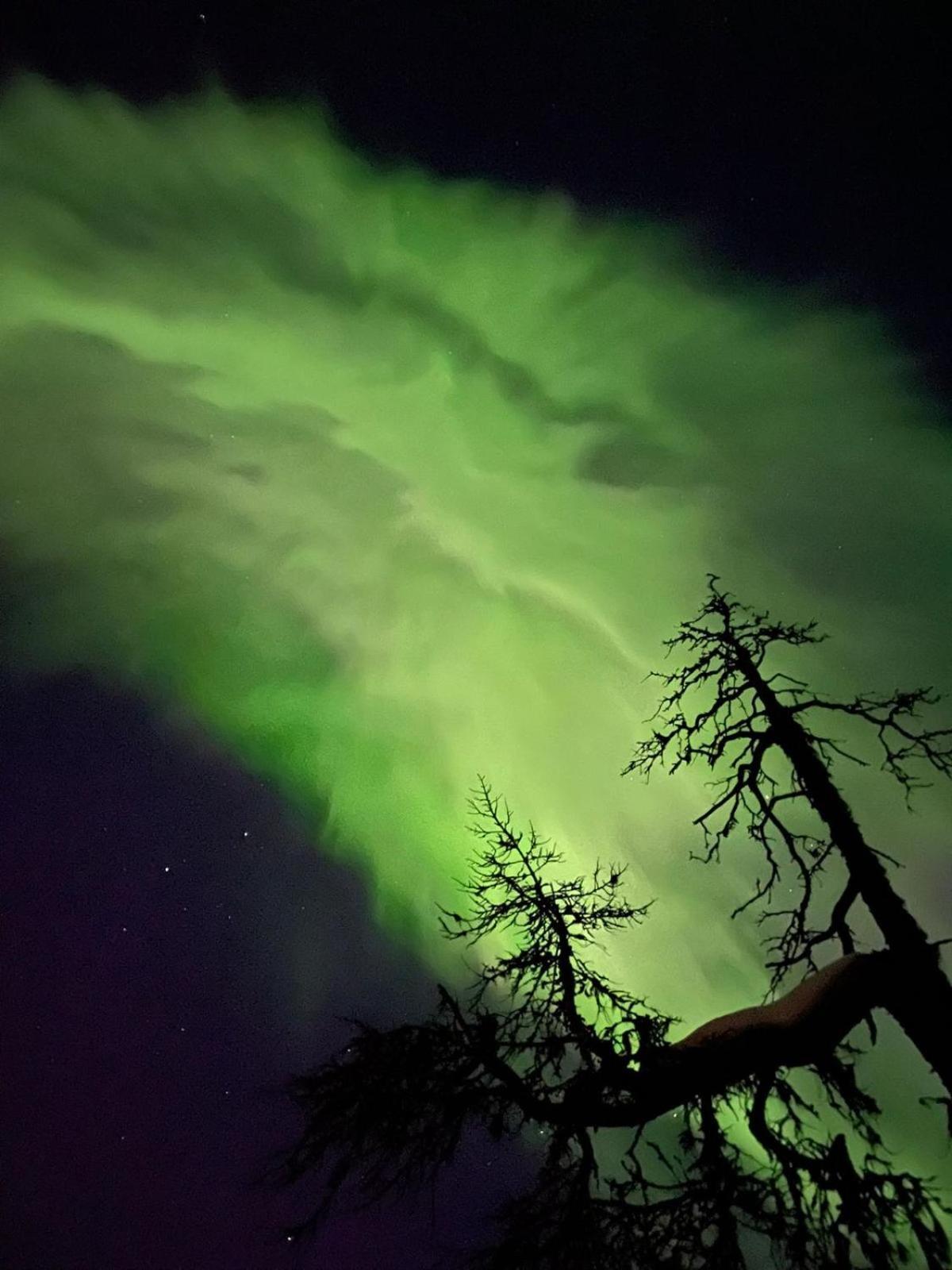 Villa Karhunkehto Luosto Buitenkant foto
